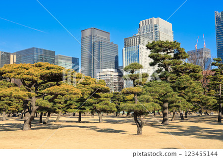 [東京都千代田區]皇居外苑的自然與城市景觀 123455144