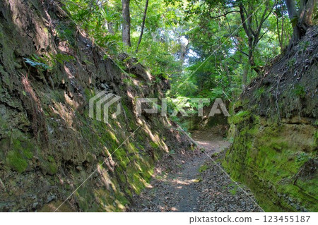 [鎌倉市] 高野山切通（大船切通） 123455187