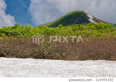 從大白川山脊的雪谷望去，初夏的森本山頂 123455192