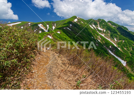 從大白川登山道望去的初夏森本山頂 從大白川登山道望去的初夏森本山頂 123455193
