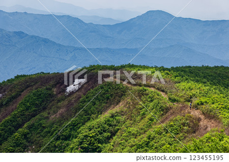 Fresh greenery seen from the climb up Mount Sumoto on the hiking trail from Oshirakawa Fresh greenery seen from the climb up Mount Sumoto on the hiking trail from Oshirakawa 123455195