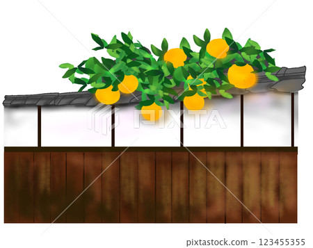 手繪的舊房子牆壁和夏季柑橘樹插圖 123455355