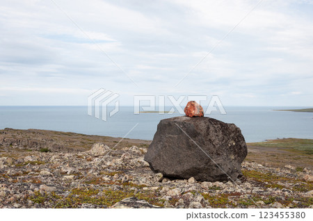 Barents Sea coast, large stone in tundra, summer landscape 123455380