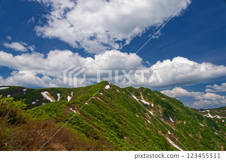 The summit of Mt. Morimoto in early summer as seen from the hiking trail from Oshirakawa River The summit of Mt. Morimoto in early summer as seen from the hiking trail from Oshirakawa River 123455511