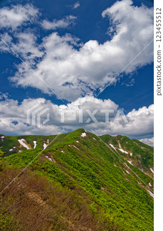 從大白川登山道望去的初夏森本山頂 123455512