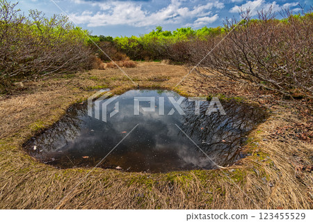 A pond on the ridge of Mount Sumon in early summer 123455529