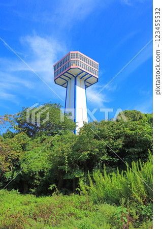 福井縣堺市東尋坊塔風景 123455532