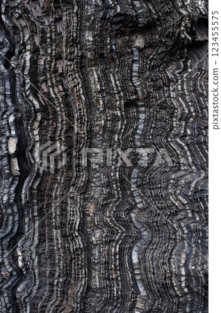 Texture of layered black rock 123455575