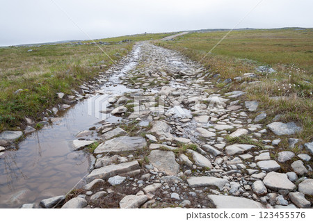 Rocky road with paddles in tundra 123455576