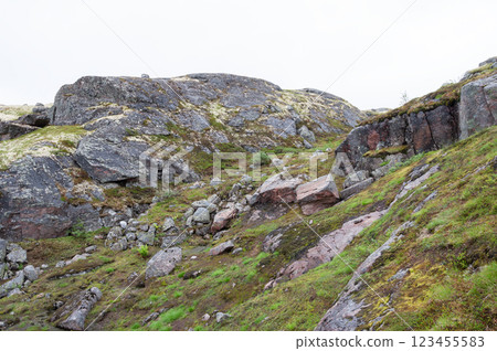Rocky tundra landscape in summer 123455583