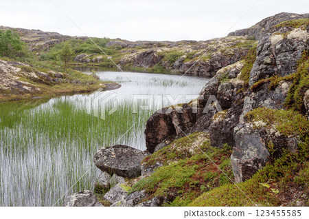 Small lake in rocky tundra Small lake in rocky tundra 123455585