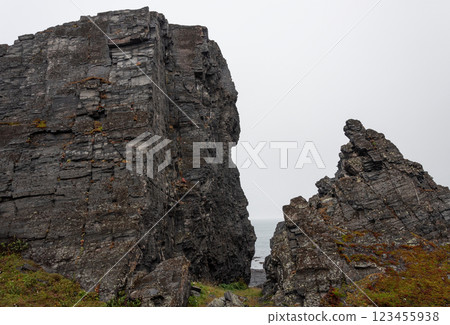 Rocky beach of the sea, summer landscape 123455938