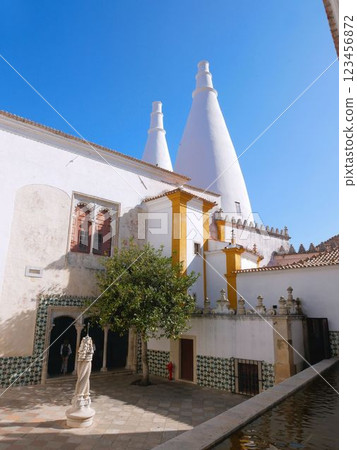Inside the Sintra Palace, a World Heritage Site (Portugal) 123456872