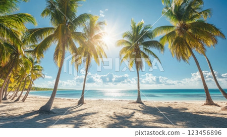A beach with palm trees and a clear blue ocean 123456896
