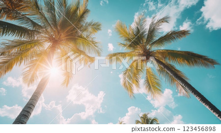Two palm trees are in the sky with the sun shining on them 123456898