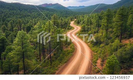 A dirt road winds through a forest with trees on both sides 123456937