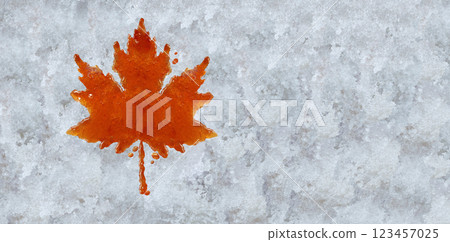 Canadian Maple Syrup Canadian Maple Syrup 123457025