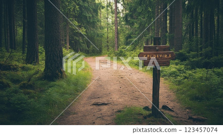 A sign is on a wooden post in a forest 123457074