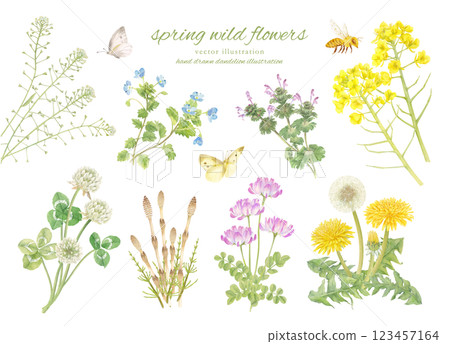 春天的花朵和昆蟲的水彩手繪插圖 123457164