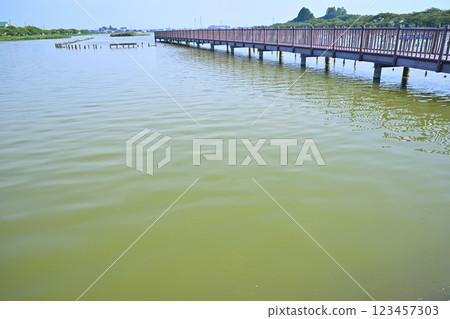 初夏：水量充沛的伊佐沼湖。 123457303