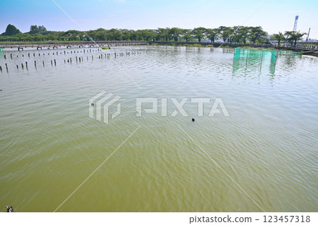 Early summer: Lake Isanuma with plenty of water. Lakeside scenery in July. Early summer: Lake Isanuma with plenty of water. Lakeside scenery in July. 123457318