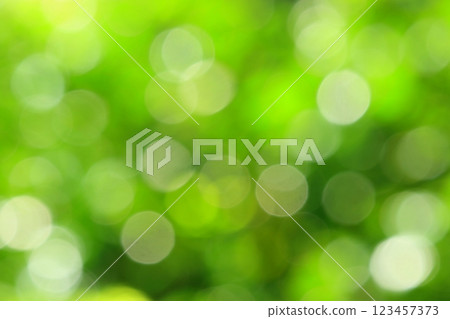 Green image (fresh green forest, out-of-focus, background material) 123457373