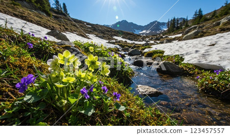 春季解凍與溪流 春季解凍與溪流 123457557