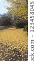 Carpet of fallen leaves 123458045