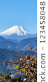 mountain fuji, mt fuji, mt.fuji 123458048