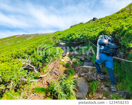 Climbing Mt. Ontake in summer (Otakiguchi trail) 123458233