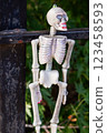 A skeleton is hanging from a fence 123458593
