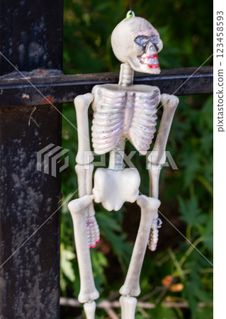 A skeleton is hanging from a fence A skeleton is hanging from a fence 123458593