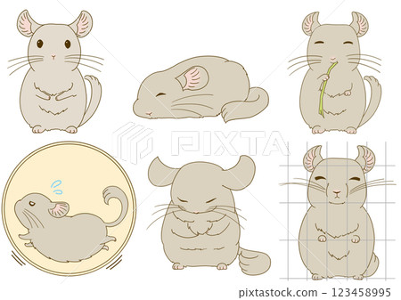 Chinchilla illustration set (beige) Chinchilla illustration set (beige) 123458995