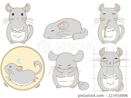 Chinchilla illustration set (gray) Chinchilla illustration set (gray) 123458996