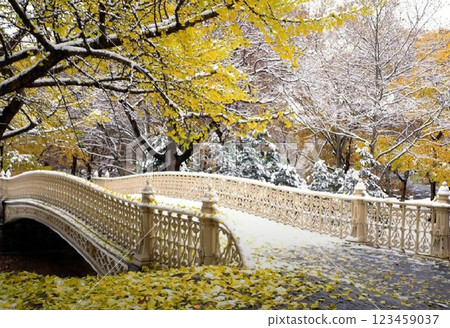 Red wooden bridge into the autumn forest. 123459037
