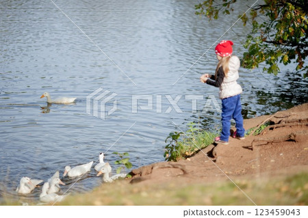 A girl in a red hat feeds ducks on the river 123459043