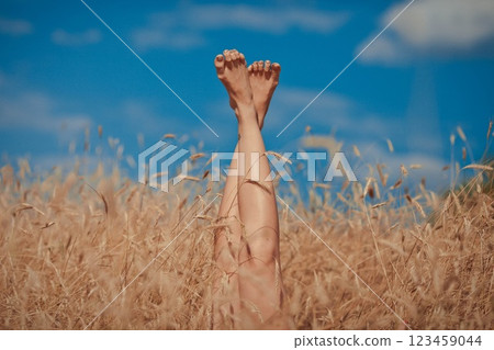 Creative image of female legs sticking out of golden wheat field. Summer time concept. 123459044
