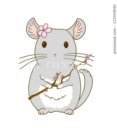 栗鼠（灰色）叼著櫻花枝 123459092