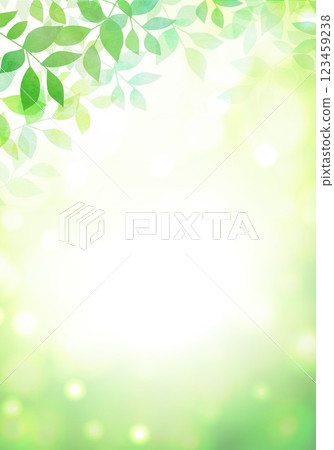 Fresh green leaves thrive Fresh green leaves thrive 123459238