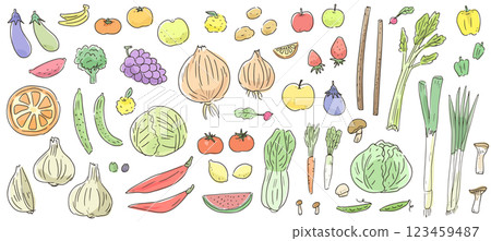 Hand drawn vector illustration set of vegetables and fruits. Watercolor style line icons of agricultural crops. 123459487