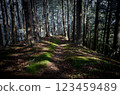 Climbing trail in winter 123459489
