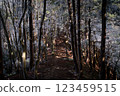 A mountain trail with frost remaining 123459515