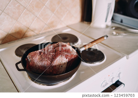 Raw piece of fillet with spices lies in a frying pan on a stove Raw piece of fillet with spices lies in a frying pan on a stove 123459703