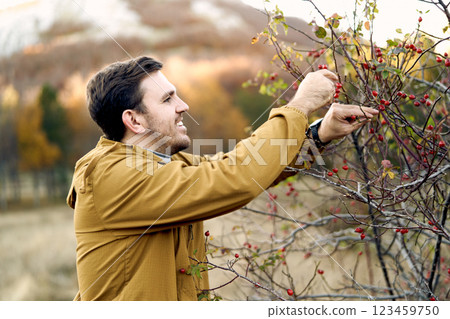 Smiling gardener picking ripe rose hips from a bush in the garden. Side view Smiling gardener picking ripe rose hips from a bush in the garden. Side view 123459750