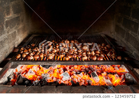 Brown chestnuts are roasted on hot coals on the grill Brown chestnuts are roasted on hot coals on the grill 123459752