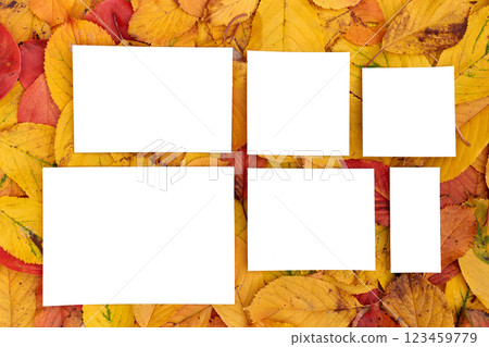 White blank frames lie on the background of yellow and red autumn leaves White blank frames lie on the background of yellow and red autumn leaves 123459779