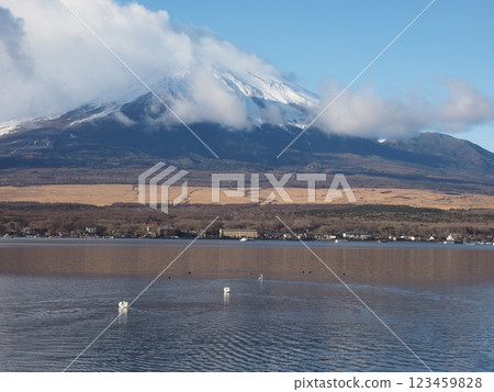 Clear winter sky and Mt.Fuji seen from Lake Yamanaka Clear winter sky and Mt.Fuji seen from Lake Yamanaka 123459828