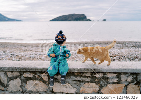 Big red cat goes to a little girl sitting on a stone fence on the seashore Big red cat goes to a little girl sitting on a stone fence on the seashore 123460029