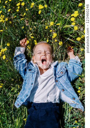 Little girl with an open mouth and raised hands lies among yellow dandelions. Top view Little girl with an open mouth and raised hands lies among yellow dandelions. Top view 123460246