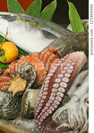 Hokkaido seafood image fresh seafood 123460400